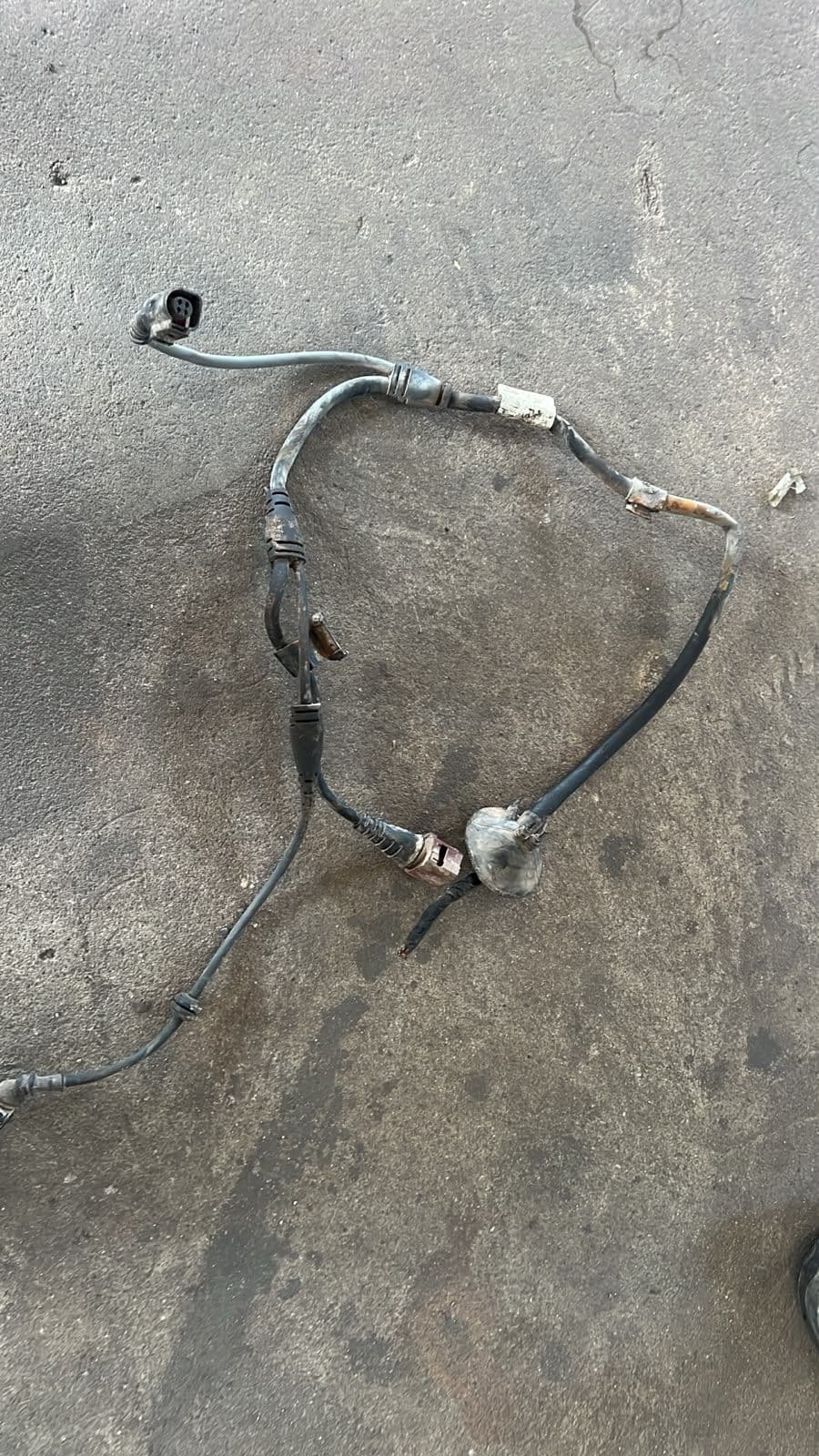 Other vehicle wires AUDI A6 2008 - foto 1